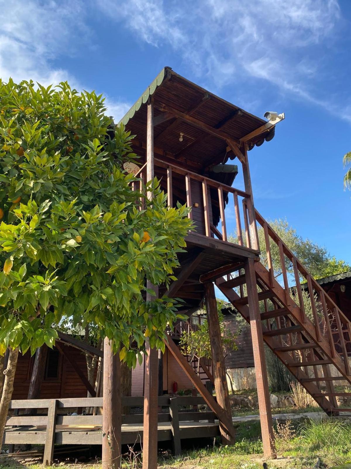 Olympos Talara By Arzum Hotel Kumluca Exterior photo