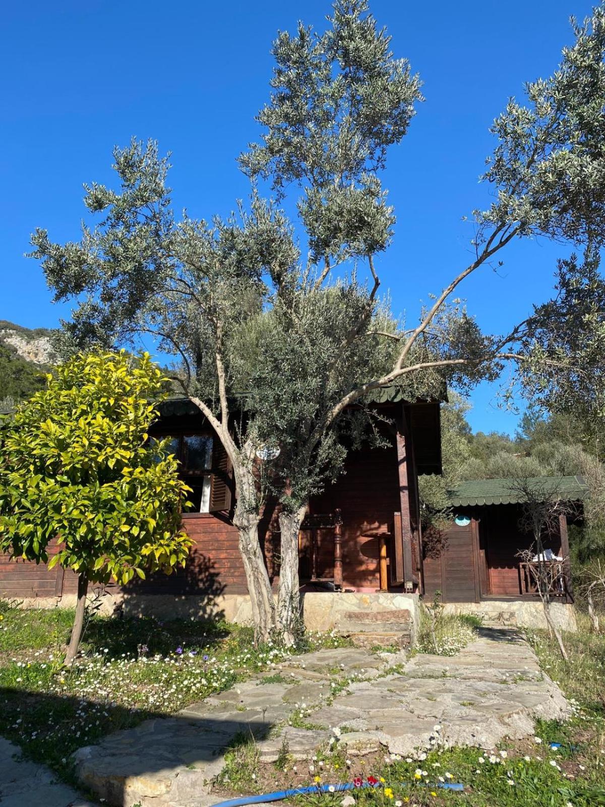 Olympos Talara By Arzum Hotel Kumluca Exterior photo